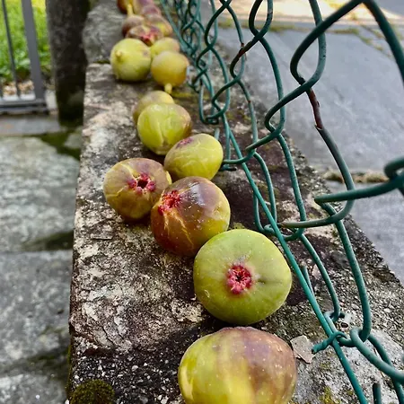 Hébergement de vacances Ca' Dal Pedamont Anzola d'Ossola